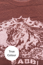 Load image into Gallery viewer, WHO THE BUCK CARES KNIT JUMPER