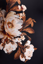 Load image into Gallery viewer, JANTZEN HARTLAND DD/E MESH FRILL ONE PIECE
