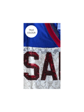 Load image into Gallery viewer, THE TEAM PIZZA JERSEY - BLUE/CREAM
